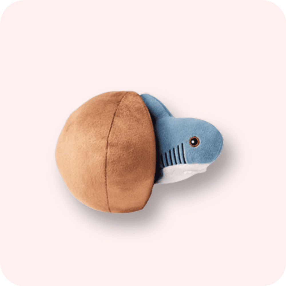 Shark Ball Plush Shark Ball Plush